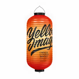 Chinese lantern